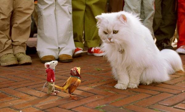 Kaķis Sniedziņscaron filmā... Autors: Zibenzellis69 14 spilgti ekrāna kaķi, kuri tika galā ar savu lomu filmā, kā jebkurš aktieris