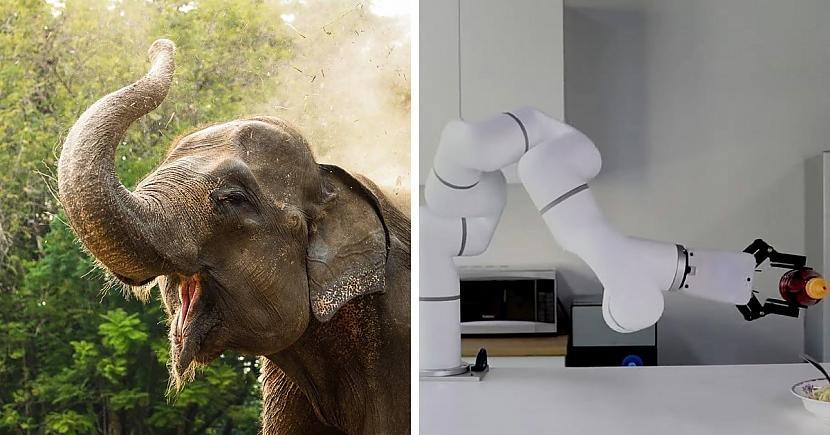 Zilonis un robota... Autors: Zibenzellis69 11 izgudrojumi, uz ko zinātniekus iedvesmoja dzīvnieku pasaules superspējas