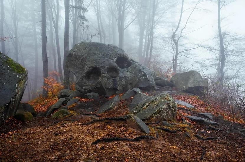 Akmens galvaskausa formā stāv... Autors: Zibenzellis69 16 noslēpumainas lietas, kas atklātas nevainīgās pastaigās pa mežu