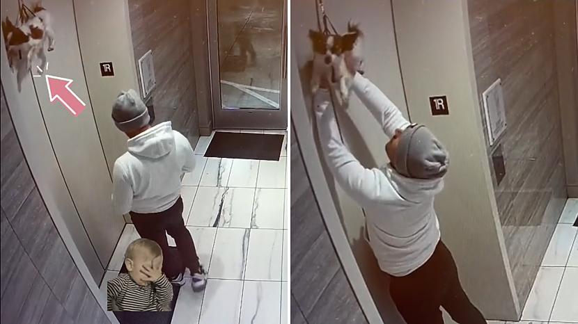 Videoklipam dažu dienu laikā... Autors: matilde VIDEO ⟩ Vīrietis izglābj suni, kurš aiz pavadas bija «uzkāries» lifta durvīs