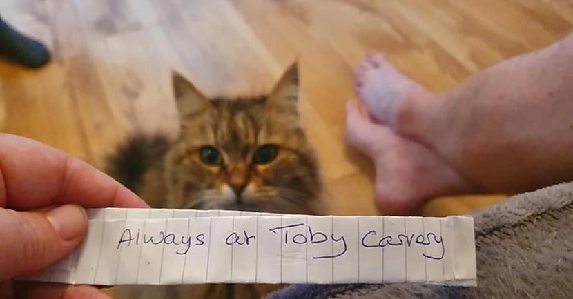 Kā jums tāds pavērsiens Tas... Autors: Lestets Rijīgais kaķis beidzot pieķerts, kad nonāca mājās ar zīmīti