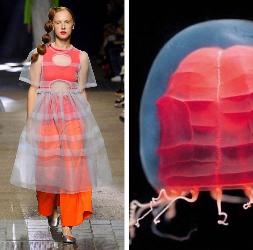 Molly Goddard un medūza Pandea... Autors: Zibenzellis69 Modes blogere parādīja, cik ļoti daba iedvesmo modes dizainerus veidojot tērpus