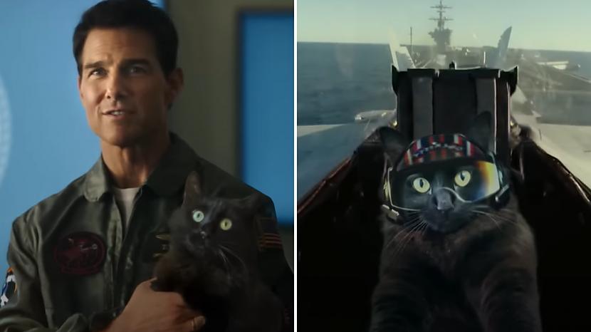 Video Kā Izskatītos Filma Top Gun Maveriks Ja Galvenajā Lomā Būtu