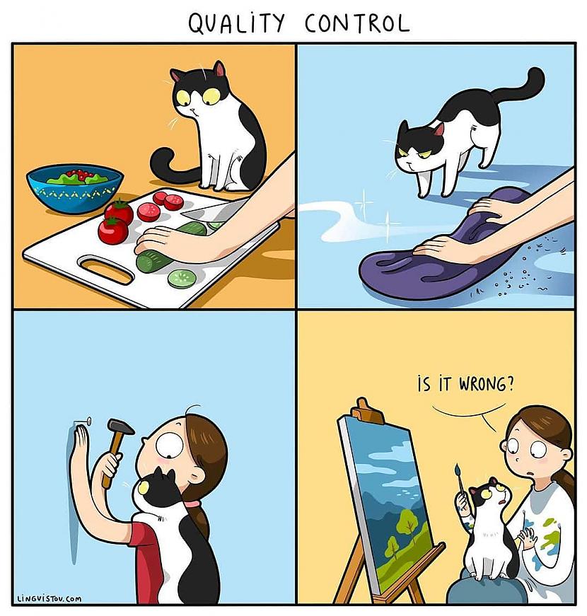 Kvalitātes kontrole Autors: Zibenzellis69 Vitāli, smieklīgi komiksi, kurus lieliski sapratīs ikviens, kuram mājās ir kaķis