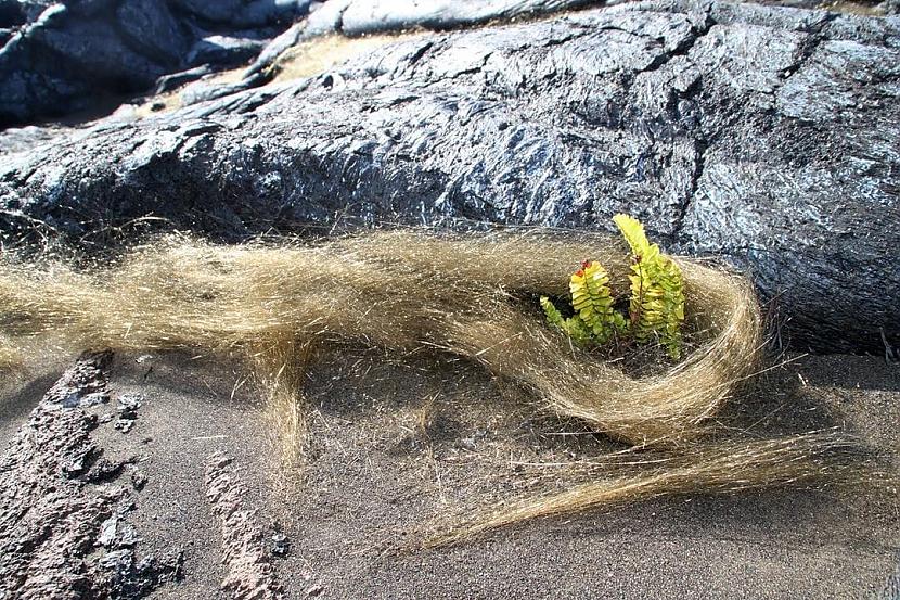 Peles hair Peles mati... Autors: Zibenzellis69 13 satriecošas parādības no mātes dabas, kas liks jums sajust šausmas un sajūsmu