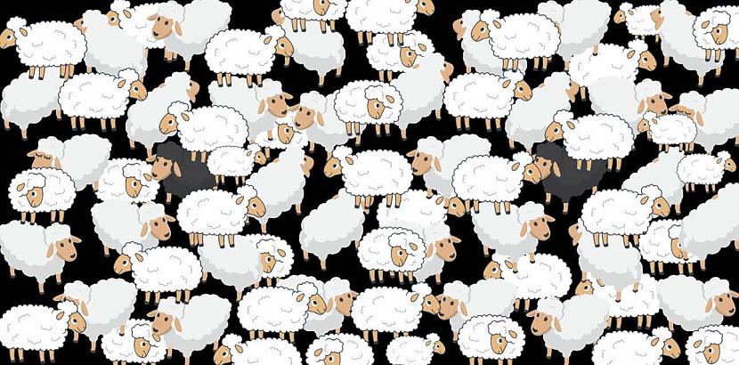  Cik guļoscaronu aitu tu vari... Autors: Zibenzellis69 8 vizuālas mīklas (neļaujiet bērniem domātiem attēliem jūs apmānīt)