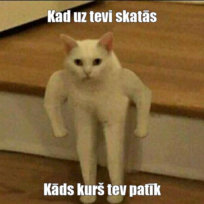  Autors: Sīļaķepa Memes