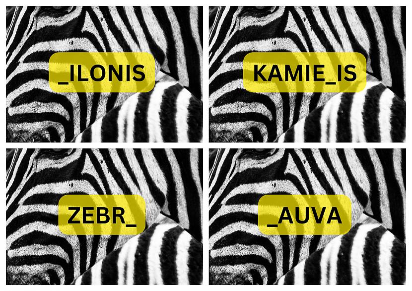 Tests: Tas nav dzīvnieks! Vai vari uzminēt, kas ir šie vārdi latviešu ...