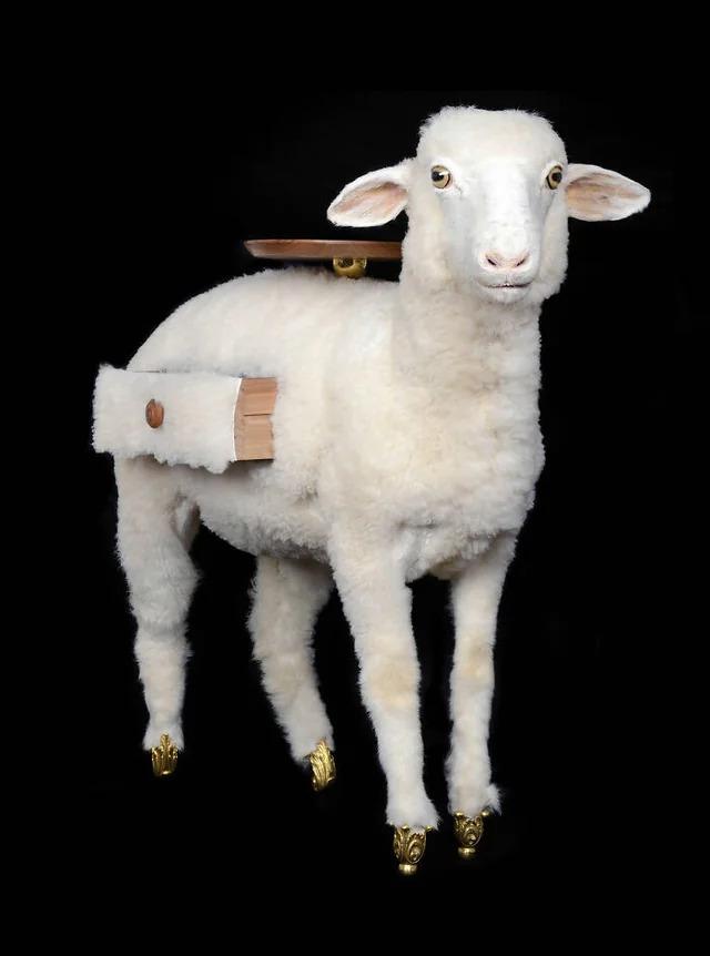 Nevainīga aitiņa var slēpt... Autors: Zibenzellis69 13 ļoti dīvaini sadzīves priekšmeti, kas liek justies neomulīgi