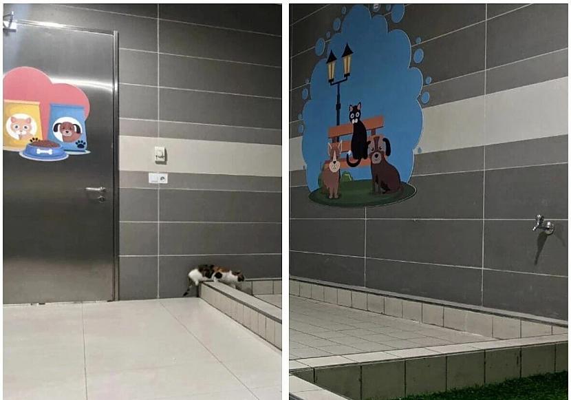 Iekscaronā ir viss paplāte... Autors: Zibenzellis69 Stambulas lidostā ir īpaša tualete mājdzīvniekiem