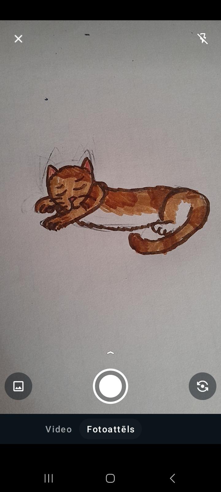 Mans kaķa zīmējums Sekos vēl... Autors: klanu kaķi Kaķa žēlabas