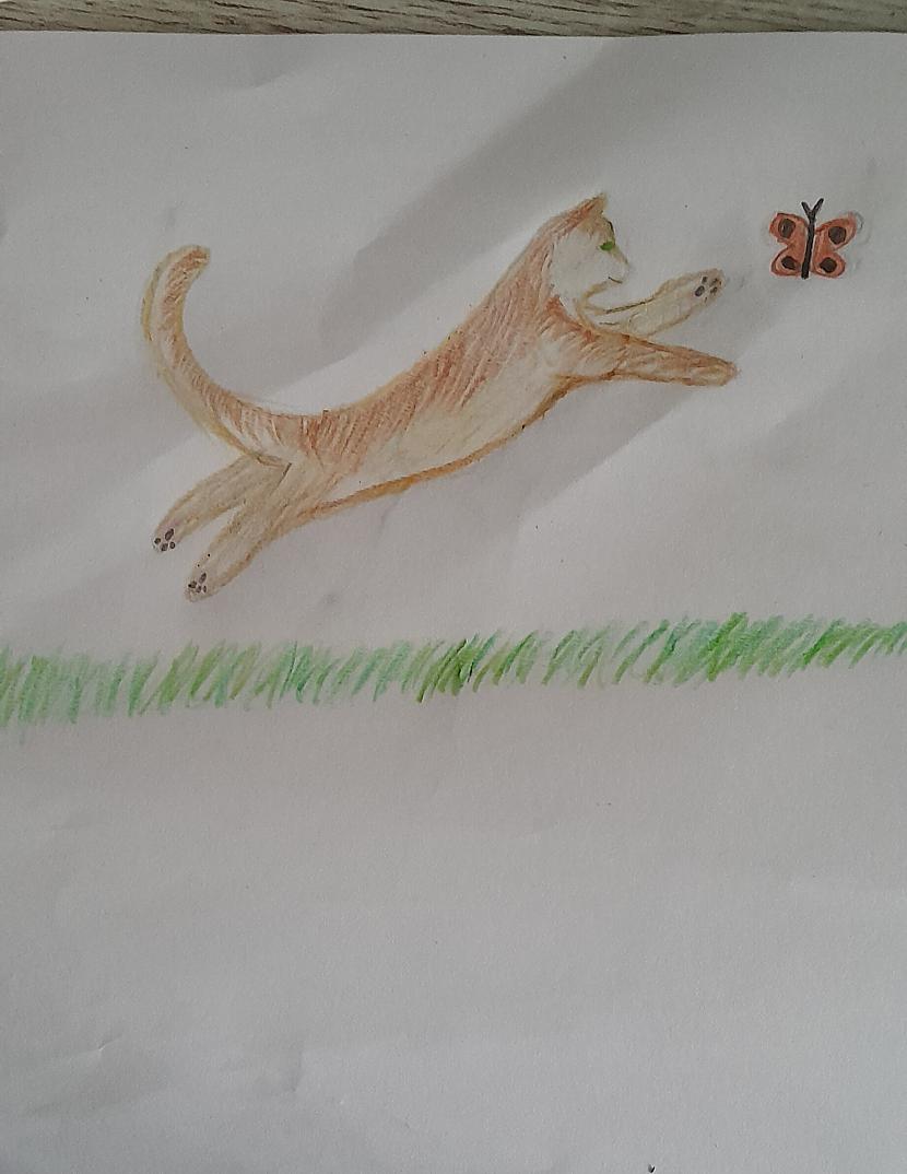 Atvainojiet šis zīmējums ir... Autors: klanu kaķi Kaķa žēlabas