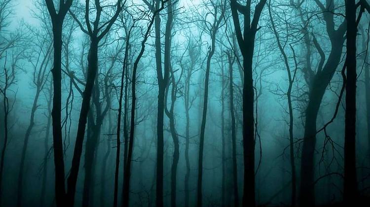 Drošības noteikumi mistiskajos Apalaču kalnos.