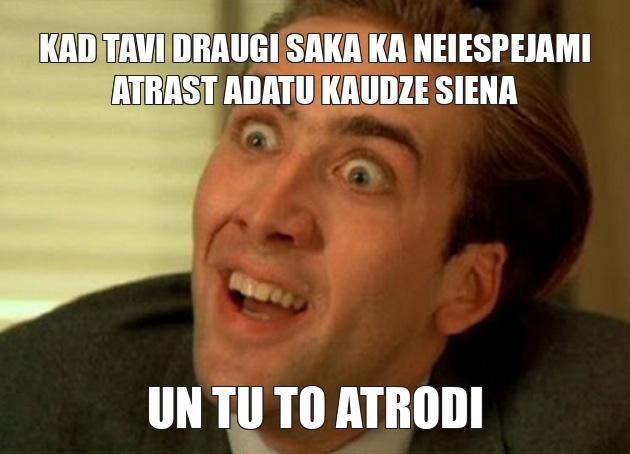  Autors: Aina Kokina Memes