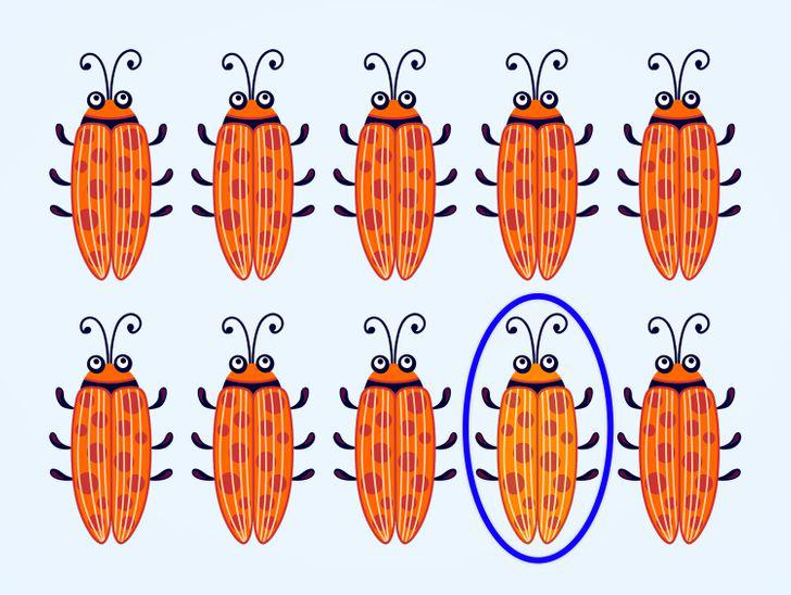  Autors: matilde Uzmanības tests: Vai vari atrast atšķirīgo kukaini 15 attēlos?