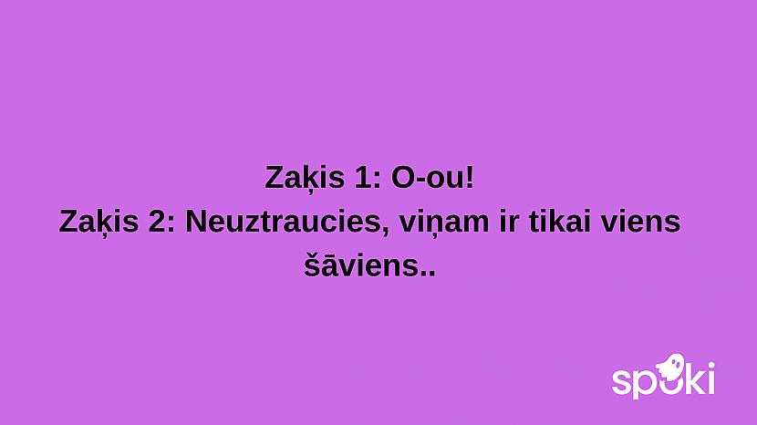  Autors: The Diāna Jociņu izlase garastāvokļa uzlabošanai (17 attēli)