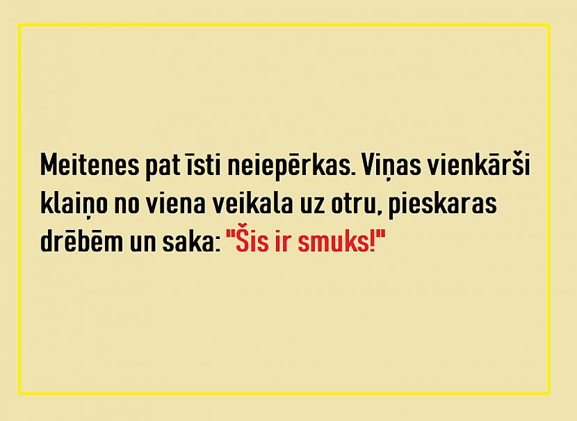  Autors: The Diāna 24 dzīves patiesības, kurām visi piekritīs