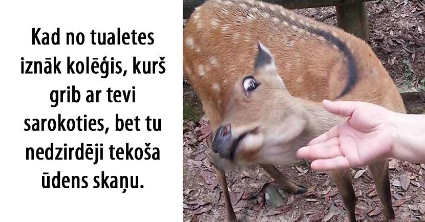  Autors: matilde 24 izcilas memes par darbu un kolēģiem. Skaties un smejies!