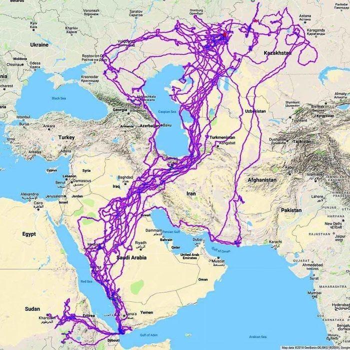 Ērgļa migrācijas marscaronruti... Autors: Lestets 20 interesantas kartes, kas ļaus uz pasauli paskatīties mazliet citādāk