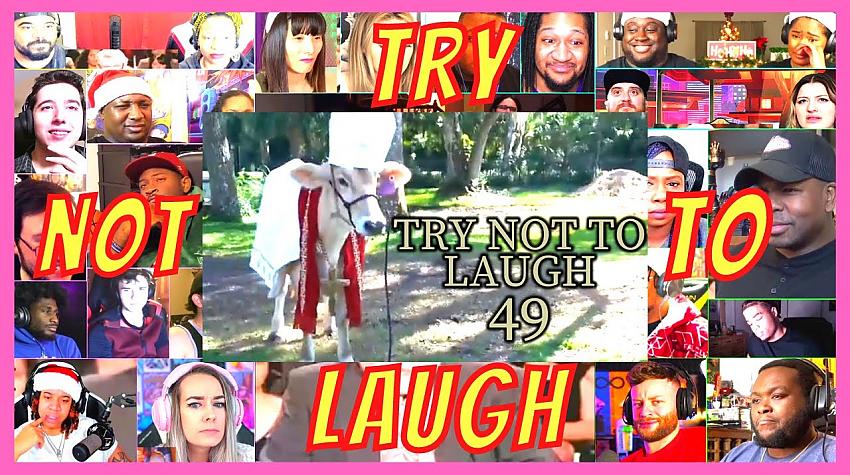 Pienācis laiks nelielam smaidam: Try Not To Laugh Challenge 😂