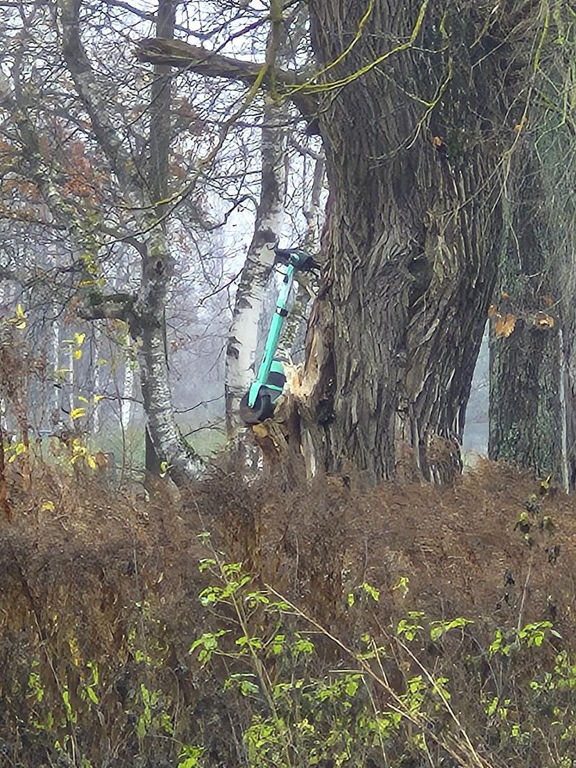  Autors: matilde Ļaudis internetā dalās ar smieklīgiem foto, kas uzņemti Latvijā