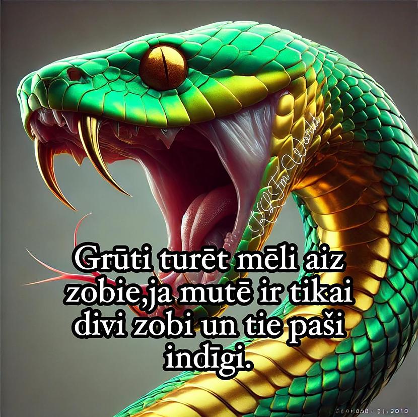 Absurdās instrukcijas... Autors: Zibenzellis69 Pirms atverat iepakojumu, izlasiet tajā ievietoto pamācību: 😂 Vecie joki 😆