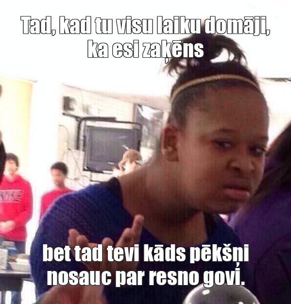  Autors: DĪVĀNA KARTUPELIS Memes