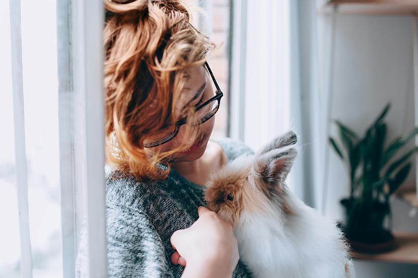 VēzisVēži ir emocionāli... Autors: matilde Četras visjaukākās Zodiaka zīmes - tās, kuras visiem patīk (Bez pārspīlēšanas!)