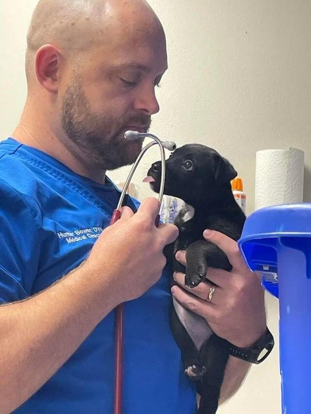 Pateicīgi pacienti Autors: Zibenzellis69 Pūkaini un nedaudz smieklīgi, bet mīļi  pacienti no veterinārārstu dzīves ❤️​