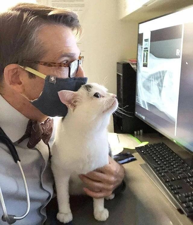 Nu kas notiek dakter Autors: Zibenzellis69 Pūkaini un nedaudz smieklīgi, bet mīļi  pacienti no veterinārārstu dzīves ❤️​