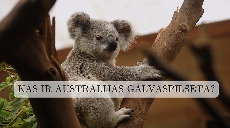 Vai vari šajā zināšanu testā iegūt vismaz 16 punktus no 20?